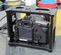 5D Cage back